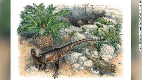 Dinosaurus Dinky adalah yang termuda dari jenisnya ketika menjelajahi Wales 200 juta tahun yang lalu
