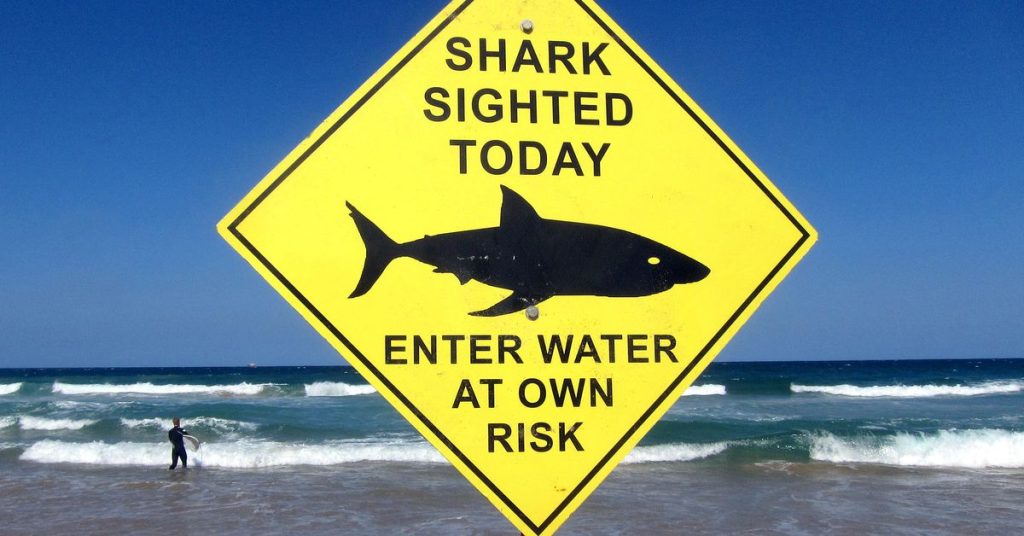 Pantai Sydney tutup setelah serangan hiu fatal pertama dalam 60 tahun