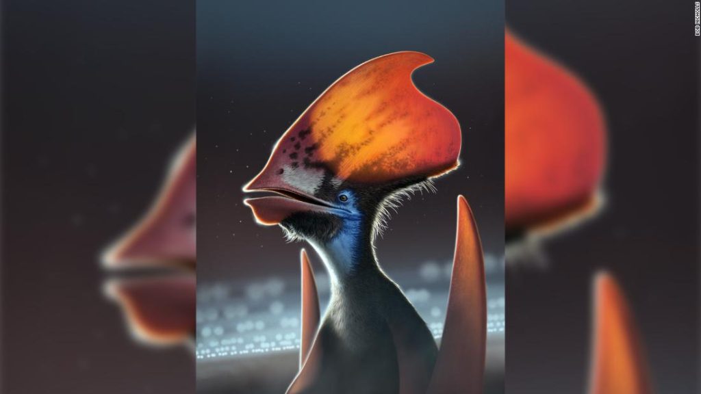 Penelitian mengatakan bahwa pterosaurus ditutupi dengan bulu berwarna-warni
