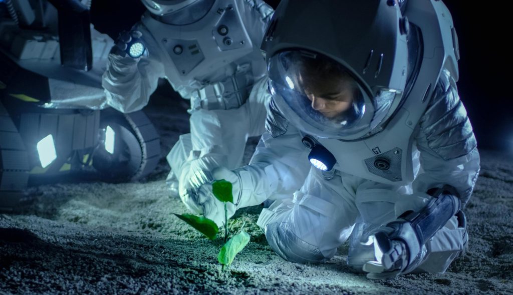 Ilmuwan menanam tanaman di tanah bulan - untuk pertama kalinya dalam sejarah manusia