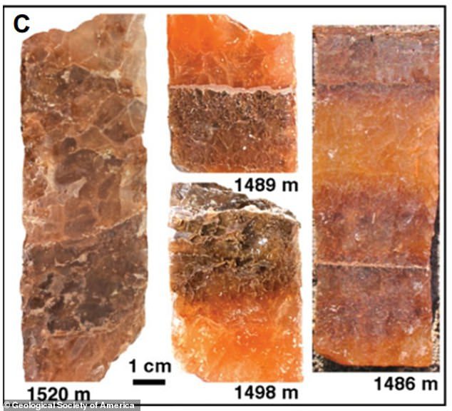 Gambar lempengan inti halit empuk dari Formasi Coklat berusia 830 juta tahun, tempat kristal yang mengandung mikroorganisme ditemukan