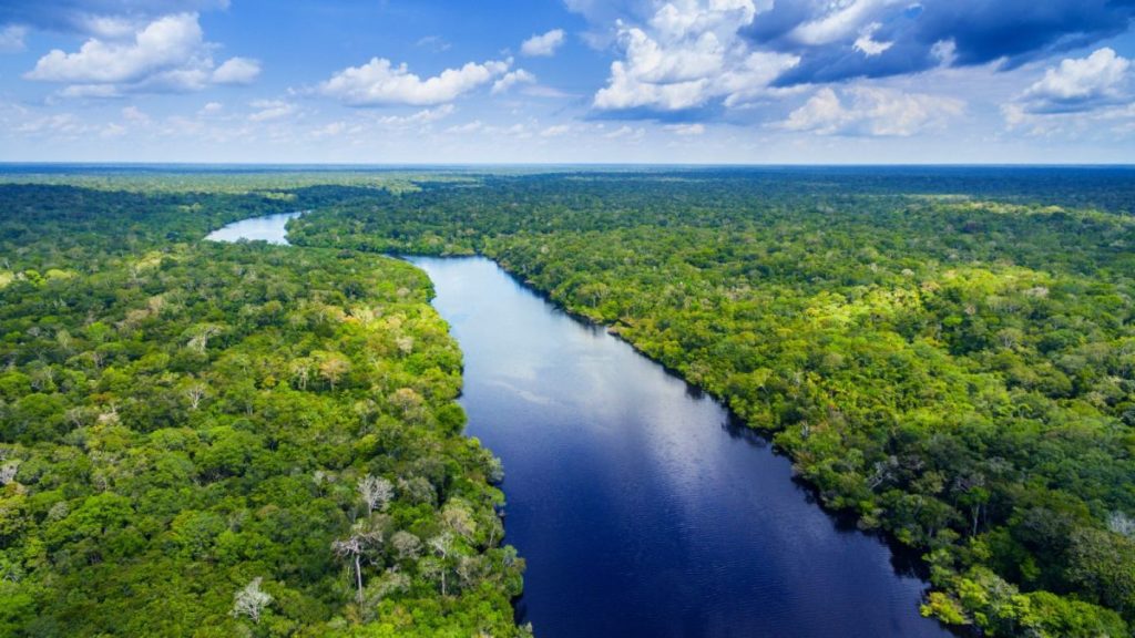 Mengapa tidak ada jembatan di atas Sungai Amazon?