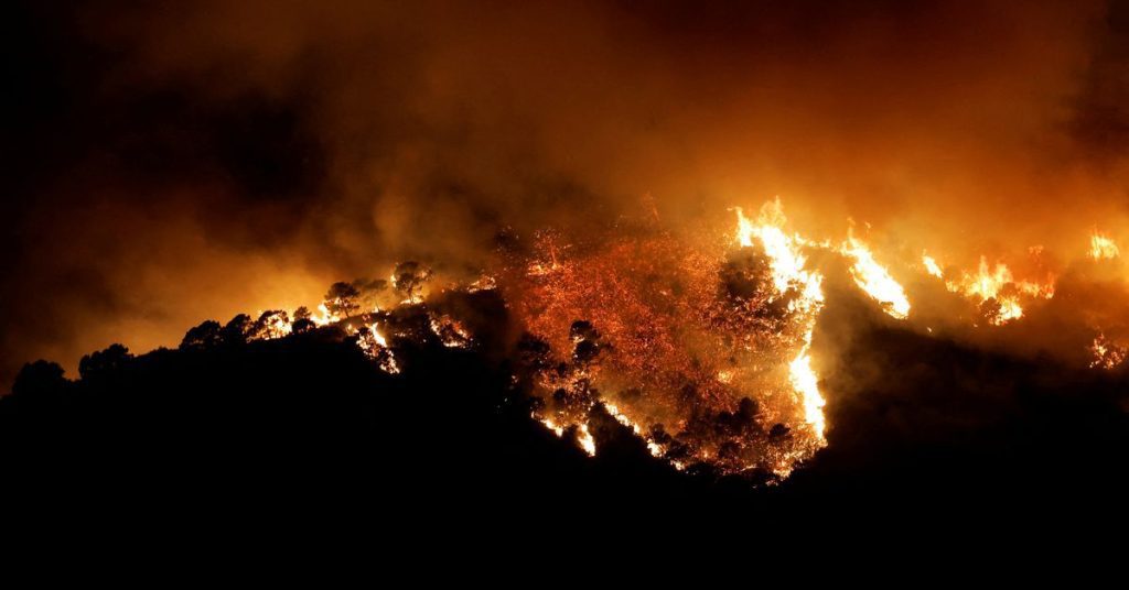 Kebakaran hutan di Spanyol selatan memaksa kota untuk mengungsi;  Tiga terluka