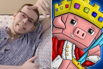 YouTuber Minecraft menghilang satu tahun setelah didiagnosis menderita kanker