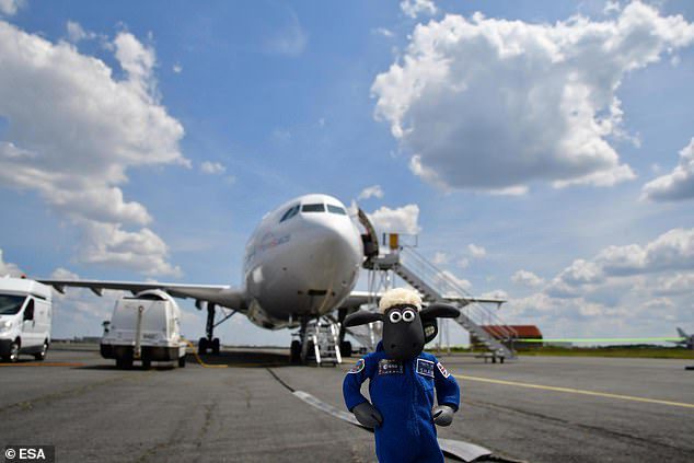 Shaun the Sheep juga melakukan penerbangan dengan Airbus Zero G 'A310, selama salah satu penerbangan setaranya yang menciptakan kembali kondisi 'tanpa bobot' bagi mereka yang berpengalaman di luar angkasa.