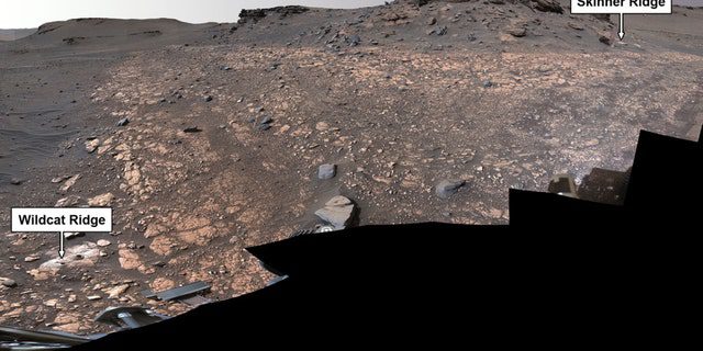 Penjelajah Ketekunan NASA telah mengumpulkan sampel batuan untuk kemungkinan kembali ke Bumi di masa depan dari dua lokasi yang ditampilkan dalam gambar Kawah Jezero di Mars: "Punggungan Kucing Liar" (kiri bawah) dan "Punggung Skinner" (kanan atas). 