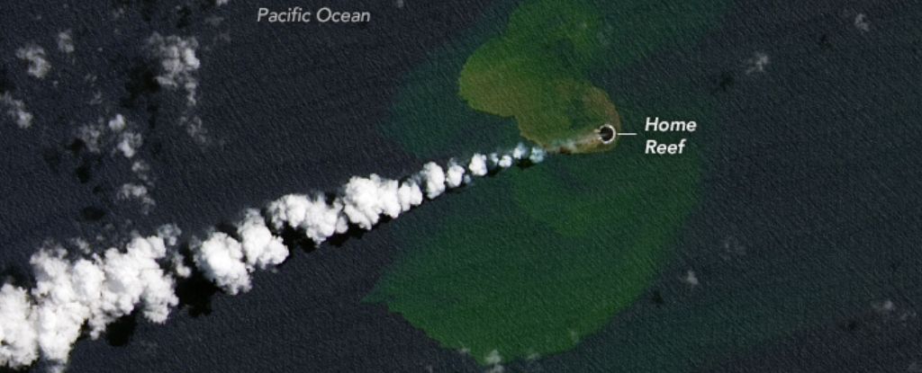 Sebuah pulau baru telah muncul di Samudra Pasifik setelah letusan gunung berapi bawah laut: ScienceAlert