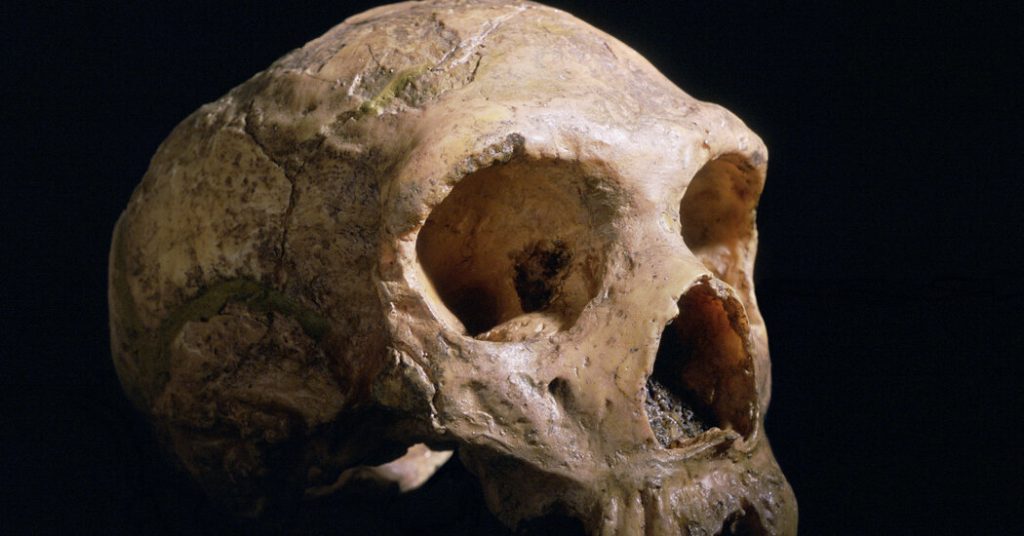 Apa yang membuat otak Anda berbeda dari Neanderthal?