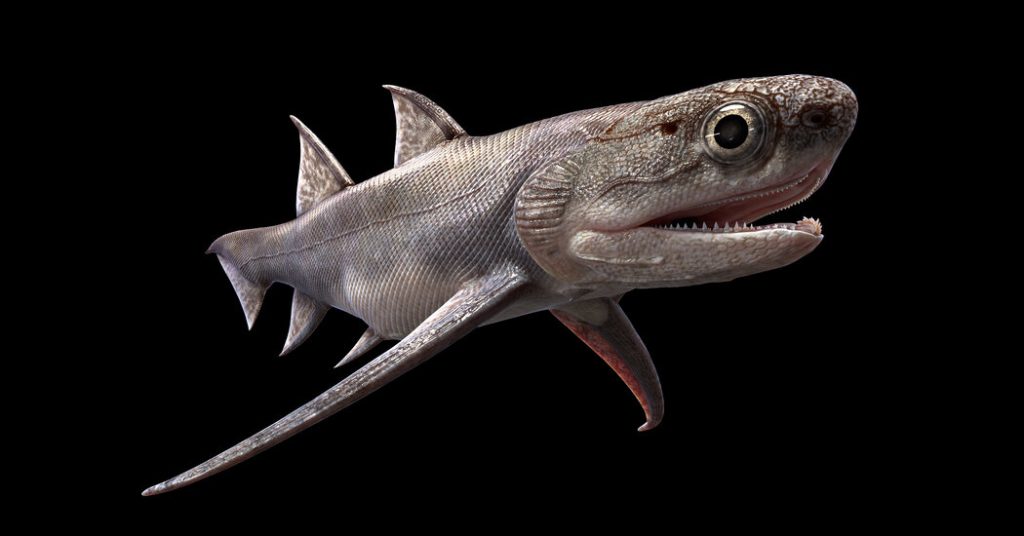 Ikan fosil mengungkapkan 'rahang' tertua yang diketahui sebelumnya