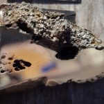 Dua mineral – belum pernah terlihat sebelumnya di Bumi – ditemukan di meteorit besar