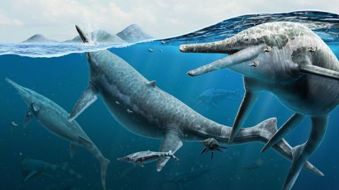 Rekonstruksi artis ichthyosaurus dewasa dan baru lahir di lautan.