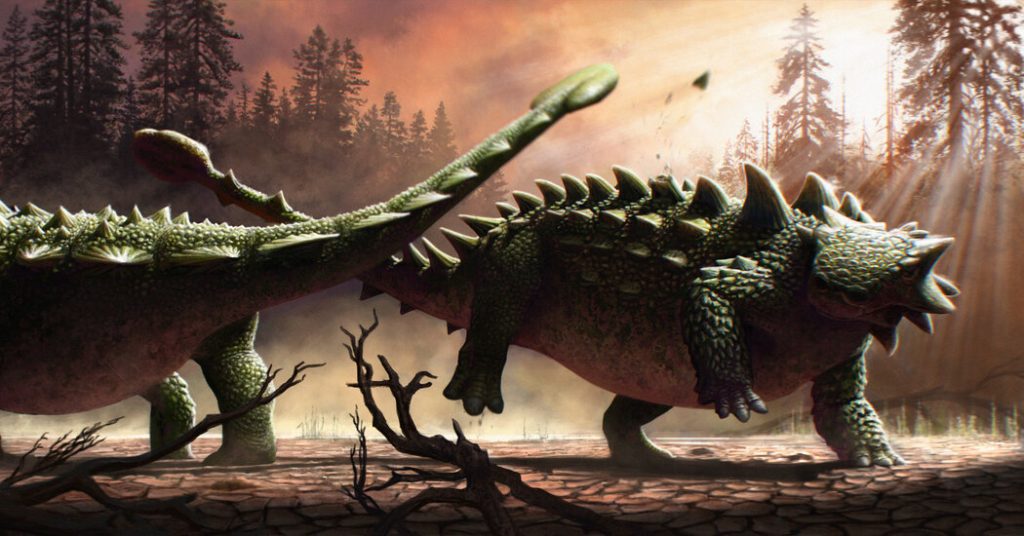 Tongkat ekor Ankylosaurus tidak hanya diayunkan ke T. Rex